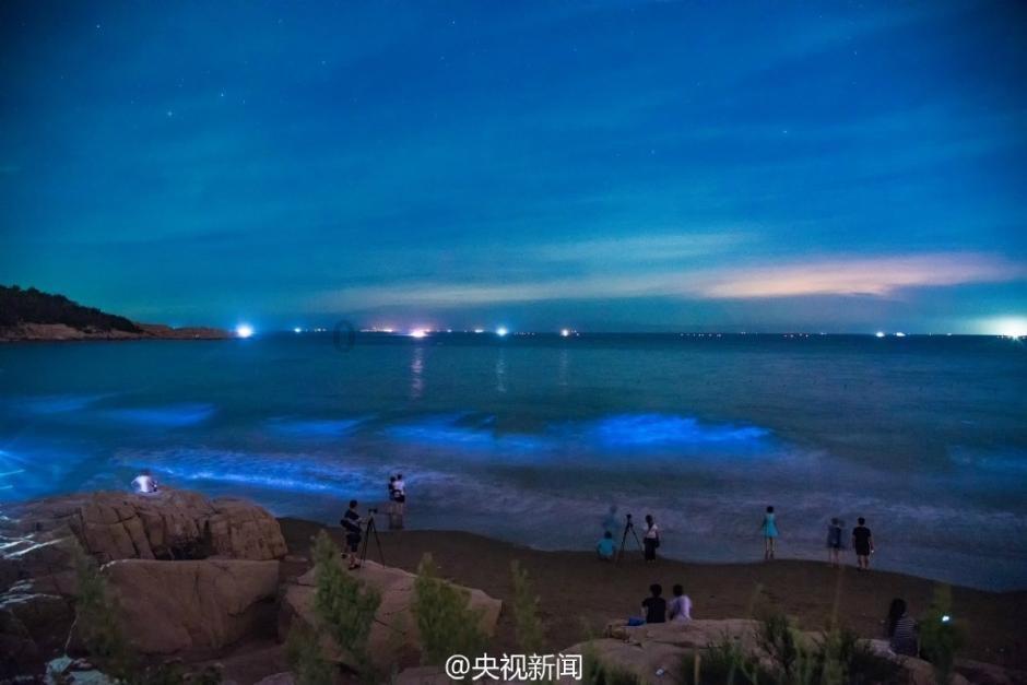 网友怕奶奶孤单,送给她只萨摩耶,半个月再去看时:白瞎这条狗了