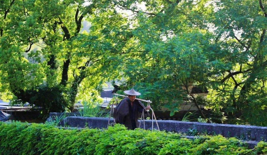 逃离神秘老林